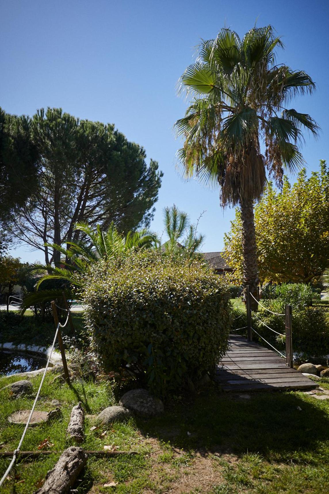 קנדלדה Hotel El Mirlo Blanco מראה חיצוני תמונה